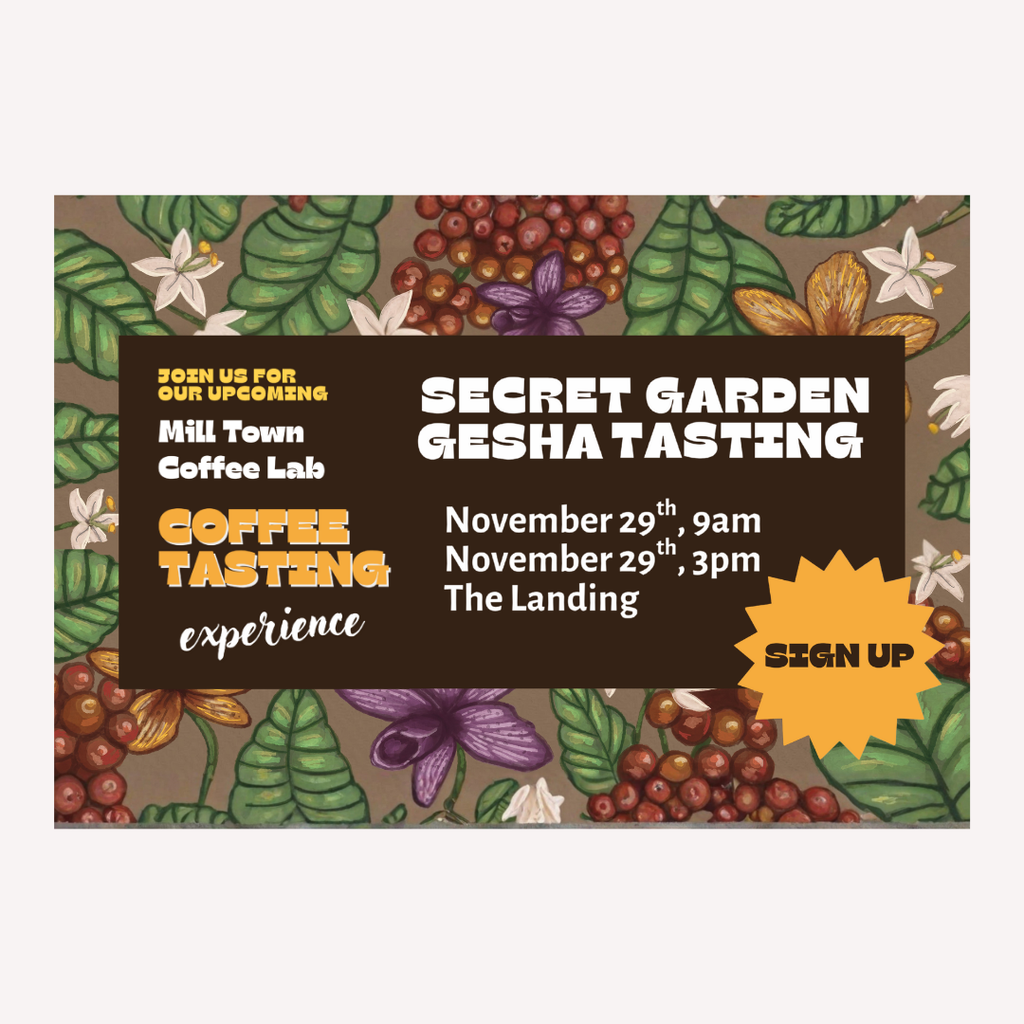 Secret Garden Gesha Coffee Tasting