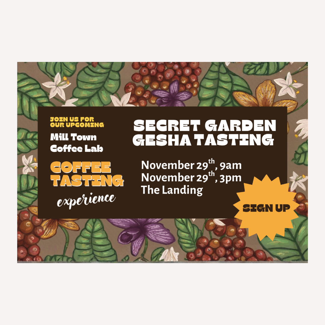 Secret Garden Gesha Coffee Tasting